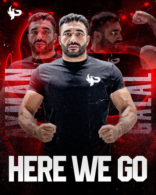 إعلان نزال رسمي لأحد مقاتلي فينكس